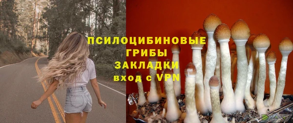 бутират Магадан