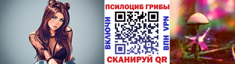 Купить где Шилка Галлюциногенные грибы MAGIC MUSHROOMS